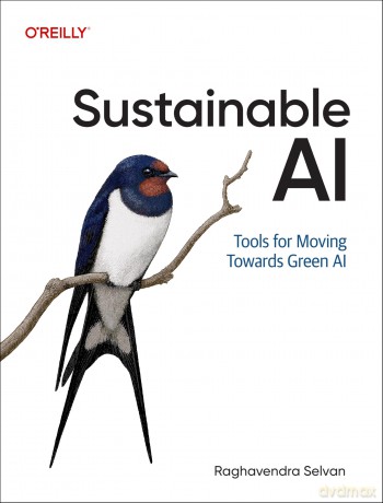 Sustainable AI: Tools for Moving Towards Green AI - Raghavendra Selvan [KSIĄŻKA]