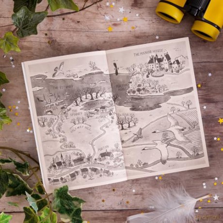 Swanfall: The Times Children's Book of the Week* - Sophie Kirtley [KSIĄŻKA]