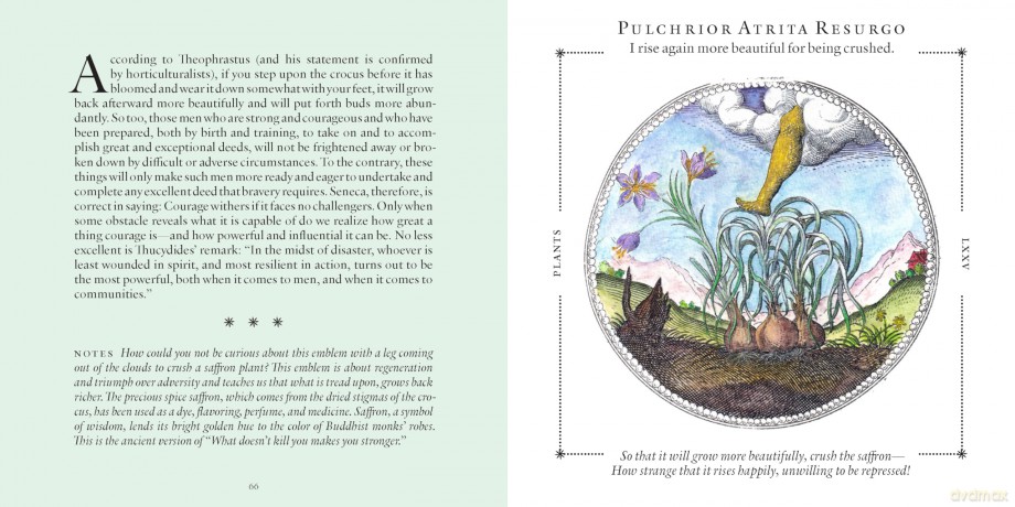 Symbolorum: The Secret Wisdom of Emblems - Mandy Aftel [KSIĄŻKA]