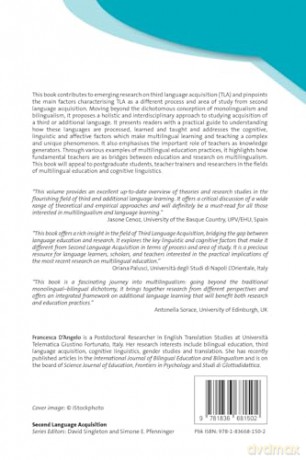 Teaching and Learning Third Languages: 159 (Second Language Acquisition) - Francesca D'Angelo [KSIĄŻKA]