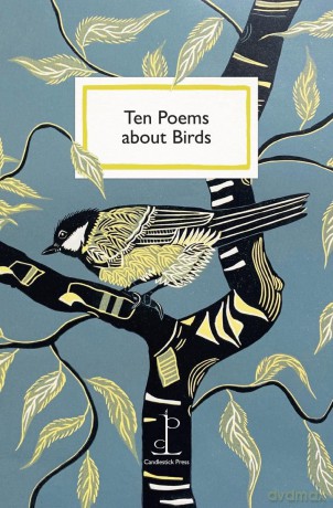Ten Poems about Birds - Katharine Towers [KSIĄŻKA]