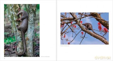Ten Years of Remembering Wildlife: 10 - Margot Raggett [KSIĄŻKA]