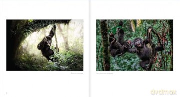 Ten Years of Remembering Wildlife: 10 - Margot Raggett [KSIĄŻKA]