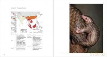 Ten Years of Remembering Wildlife: 10 - Margot Raggett [KSIĄŻKA]