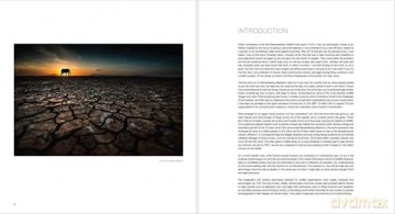 Ten Years of Remembering Wildlife: 10 - Margot Raggett [KSIĄŻKA]