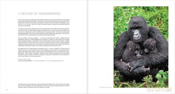 Ten Years of Remembering Wildlife: 10 - Margot Raggett [KSIĄŻKA]