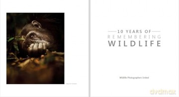 Ten Years of Remembering Wildlife: 10 - Margot Raggett [KSIĄŻKA]