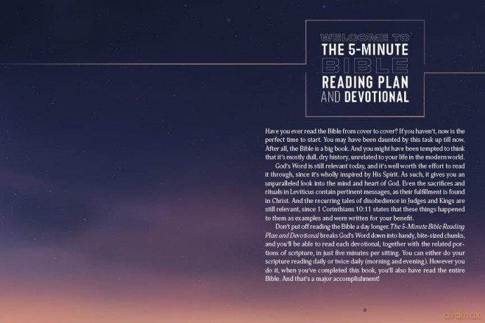 The 5-Minute Bible Reading Plan and Devotional for Men - Ed Strauss [KSIĄŻKA]