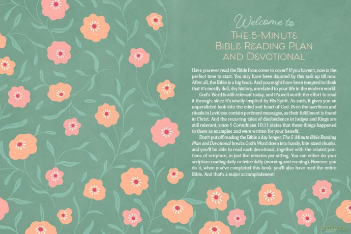 The 5-Minute Bible Reading Plan and Devotional for Women - Ed Strauss [KSIĄŻKA]