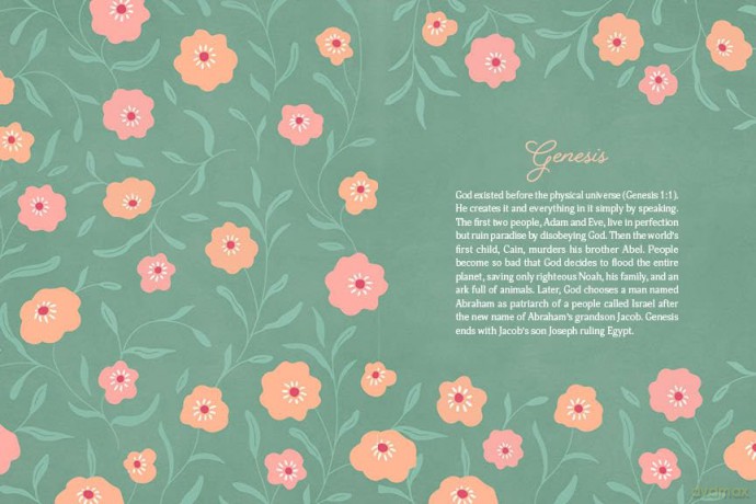 The 5-Minute Bible Reading Plan and Devotional for Women - Ed Strauss [KSIĄŻKA]
