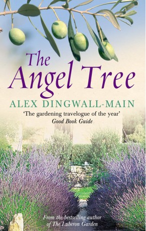 The Angel Tree - Alex Dingwall-Main [KSIĄŻKA]
