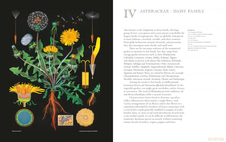 The Art of Botanical Painting: Iconic botanical wall charts from the golden age of scientific discovery - Anna Laurent [KSIĄŻKA]