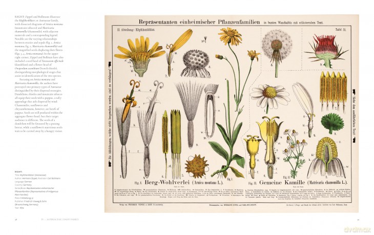 The Art of Botanical Painting: Iconic botanical wall charts from the golden age of scientific discovery - Anna Laurent [KSIĄŻKA]