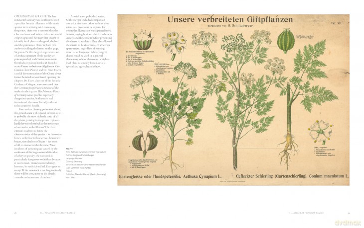 The Art of Botanical Painting: Iconic botanical wall charts from the golden age of scientific discovery - Anna Laurent [KSIĄŻKA]