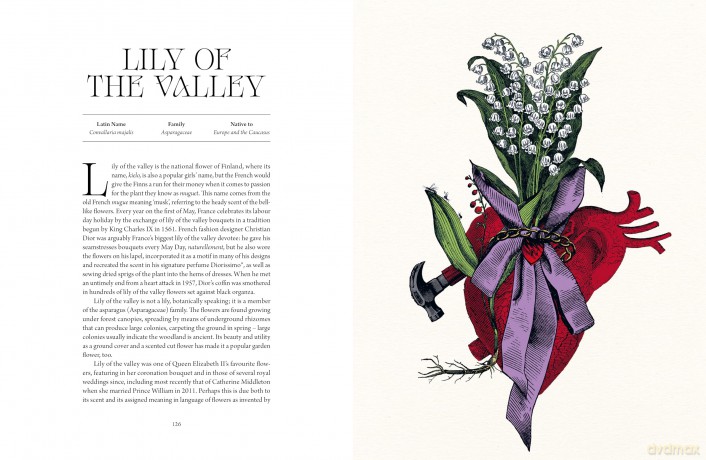 The Atlas of Deadly Plants: Botanical Tales of the World's Most Intoxicating, Poisonous and Dangerous Specimens - Jane Perrone [KSIĄŻKA]