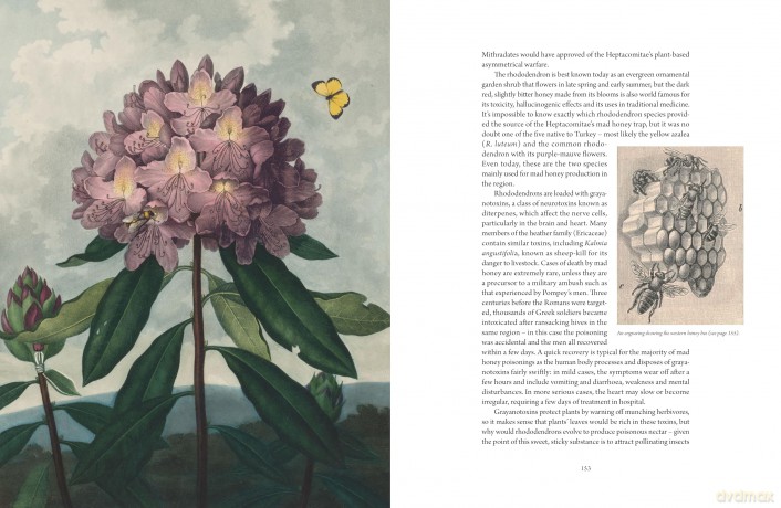 The Atlas of Deadly Plants: Botanical Tales of the World's Most Intoxicating, Poisonous and Dangerous Specimens - Jane Perrone [KSIĄŻKA]