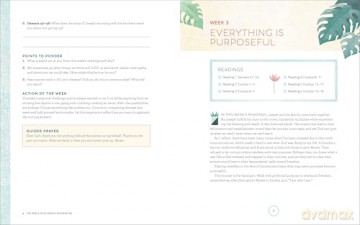 The Bible in 52 Weeks Workbook: A Yearlong Bible Study for Women - Brittini L. Palmer [KSIĄŻKA]