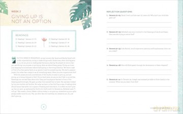 The Bible in 52 Weeks Workbook: A Yearlong Bible Study for Women - Brittini L. Palmer [KSIĄŻKA]