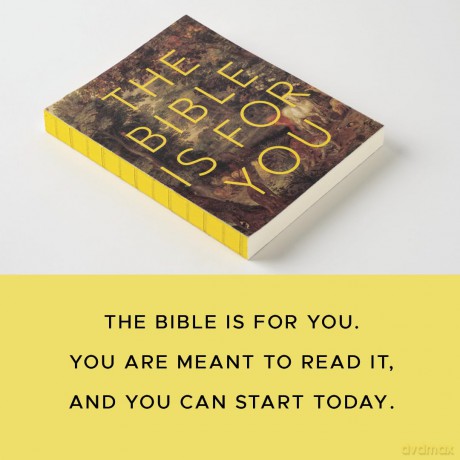 The Bible is for You: A Devotional Journey Through Every Book of the Bible - Raechel Myers [KSIĄŻKA]
