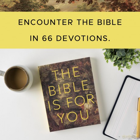 The Bible is for You: A Devotional Journey Through Every Book of the Bible - Raechel Myers [KSIĄŻKA]