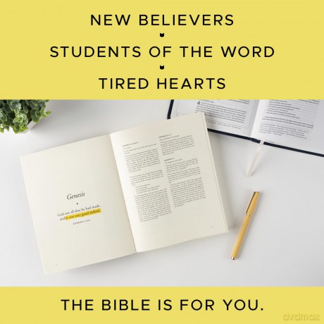 The Bible is for You: A Devotional Journey Through Every Book of the Bible - Raechel Myers [KSIĄŻKA]