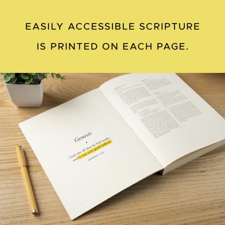 The Bible is for You: A Devotional Journey Through Every Book of the Bible - Raechel Myers [KSIĄŻKA]