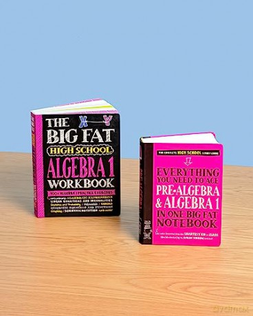 The Big Fat High School Algebra 1 Workbook: 400+ Algebra 1 Practice Exercises (Big Fat Notebooks) [KSIĄŻKA]