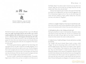 The Book of Changes, Troubles, Problems, Lightness, and Calm: The I Ching as Oracle and Teacher - Peter Muller [KSIĄŻKA]