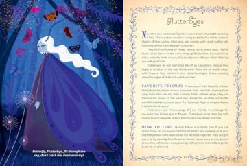 The Book of Fairies - Susie Spikol [KSIĄŻKA]