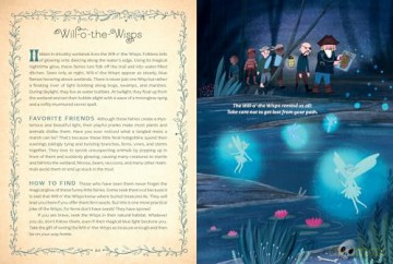 The Book of Fairies - Susie Spikol [KSIĄŻKA]