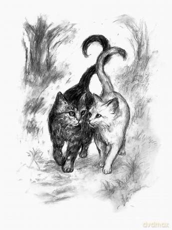 The Cat's Tales: Feline Fairy Tales and Folklore - The perfect gift for cat lovers - Charlie Creed [KSIĄŻKA]