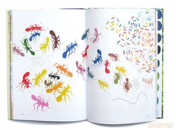 The Colour Book - Sophie Benini Pietromarch [KSIĄŻKA]