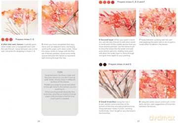 The Colour Mixing Guide: Watercolour Woodland - Julie Collins [KSIĄŻKA]