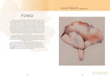 The Colour Mixing Guide: Watercolour Woodland - Julie Collins [KSIĄŻKA]