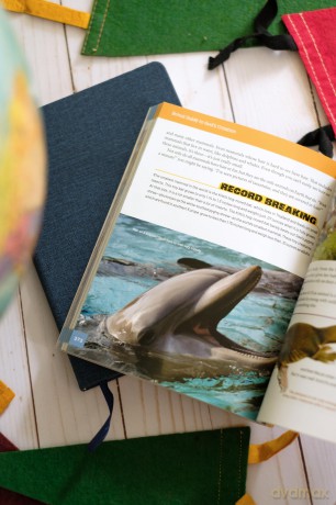 The Complete Guide to the Bible for Kids: Plus Bonus Guide to Creation! - Tracy M Sumner [KSIĄŻKA]