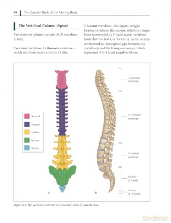 The Concise Book of the Moving Body - Chris Jarmey [KSIĄŻKA]