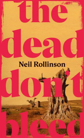 The Dead Don't Bleed: The thrilling and vivid debut novel about family, violence and redemption - Neil Rollinson [KSIĄŻKA]