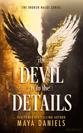 The Devil is in the Details: 1 (The Broken Halos Series) - Maya Daniels [KSIĄŻKA]