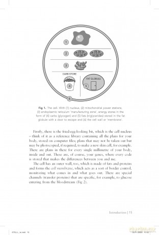 The Diet Whisperer: BEYOND WEIGHT-LOSS JABS: Includes a 12-week, fat-loss plan to lose weight naturally - Paul Barrington Chell [KSIĄŻKA]