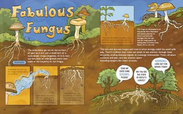 The Dirt!: Wild Life Under the Soil's Surface - Lindsey Leigh [KSIĄŻKA]