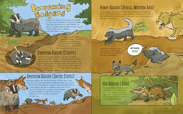 The Dirt!: Wild Life Under the Soil's Surface - Lindsey Leigh [KSIĄŻKA]
