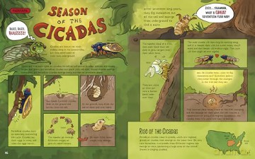 The Dirt!: Wild Life Under the Soil's Surface - Lindsey Leigh [KSIĄŻKA]