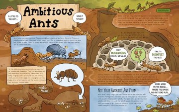 The Dirt!: Wild Life Under the Soil's Surface - Lindsey Leigh [KSIĄŻKA]