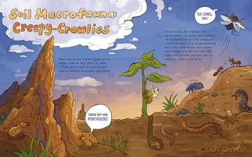 The Dirt!: Wild Life Under the Soil's Surface - Lindsey Leigh [KSIĄŻKA]