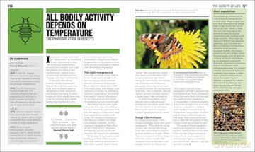 The Ecology Book: Big Ideas Simply Explained (DK Big Ideas) - Dk [KSIĄŻKA]