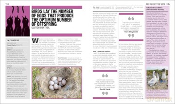 The Ecology Book: Big Ideas Simply Explained (DK Big Ideas) - Dk [KSIĄŻKA]