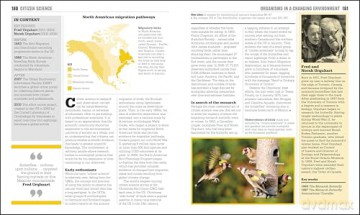 The Ecology Book: Big Ideas Simply Explained (DK Big Ideas) - Dk [KSIĄŻKA]