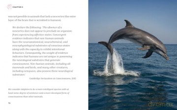 The Essential Book of Consciousness: Master the Mysteries of Consciousness in 12 Short Chapters (Arcturus Concepts) - Anne Rooney [KSIĄŻKA]