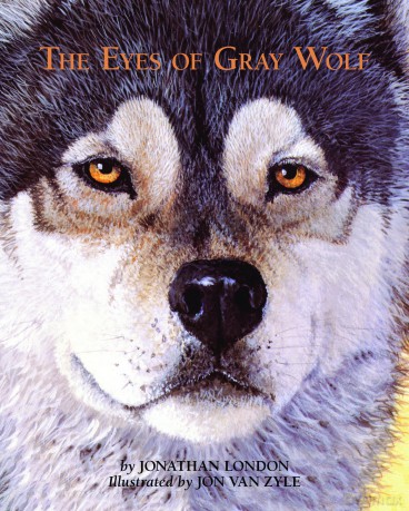 The Eyes of Gray Wolf - Jonathan London [KSIĄŻKA]
