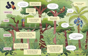The Fact-Finders Rainforest: Walk Through the Magical Rainforests! - Dk [KSIĄŻKA]
